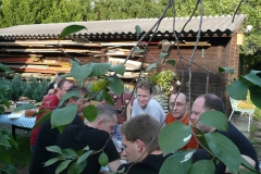 p1010794