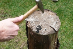 p1000140