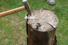 p1000141