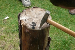 p1000144